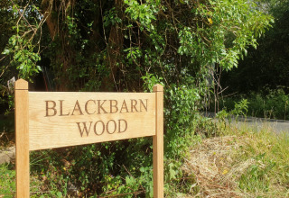 Cartello in legno con la scritta 'Blackbarn Wood' all'ingresso di un bosco nel Regno Unito, tra il verde.