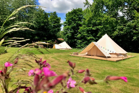 Dos tiendas tipi de glamping montadas sobre césped verde, flores silvestres delante y árboles al fondo.