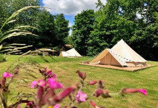 Two glamping teepee tents set up on a lush green field, with wildflowers in the foreground and trees behind.