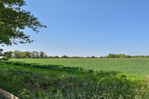Vista de un campo verde y árboles bajo un cielo azul claro desde la zona de la tienda tipi en verano.