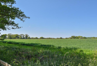 View of a green field and trees under a clear blue sky as seen from the teepee tent area in summer.