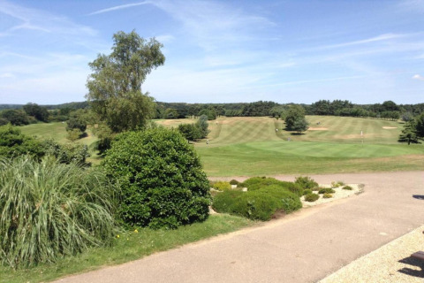 Vista de un campo de golf verde y bien cuidado, con árboles y arbustos bajo un cielo azul soleado.