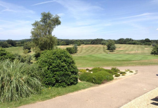View of a lush green golf course on a sunny day, with manicured fairways, trees, and shrubs.