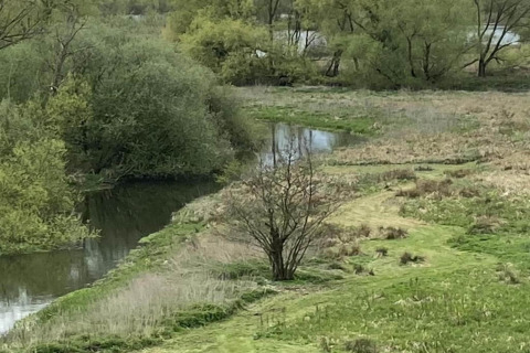 Vista de un río tranquilo y árboles verdes cerca de Iris Bell Tent en el Reino Unido durante la primavera.