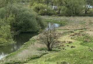 Vista de un río tranquilo y árboles verdes cerca de Iris Bell Tent en el Reino Unido durante la primavera.