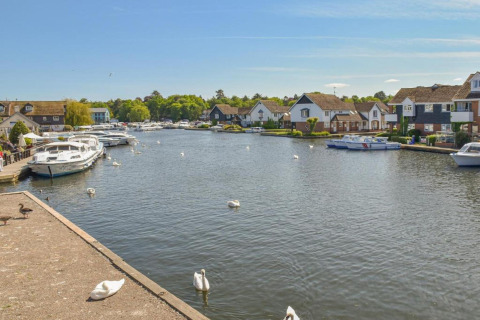 Boats and swans on a calm river lined with houses and lush green trees under a bright blue sky.