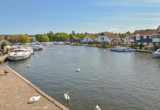 Boats and swans on a calm river lined with houses and lush green trees under a bright blue sky.
