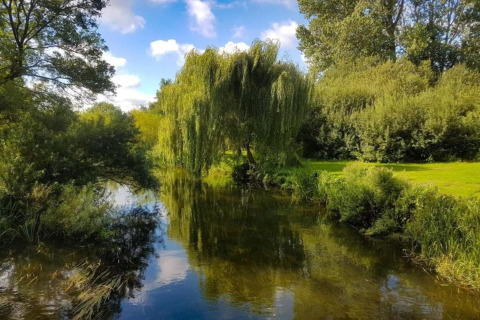 Peaceful river landscape with green trees, lush grass, and blue skies with clouds above the water.