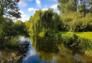 Peaceful river landscape with green trees, lush grass, and blue skies with clouds above the water.
