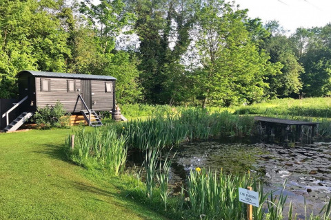 A wooden cabin by a pond surrounded by lush greenery and trees, taken at Bulrush Bell Tent in the UK.