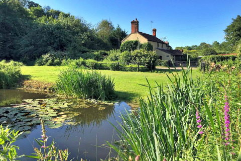 Peaceful rural English landscape with lily pond, cottage, lush greenery and wildflowers under blue sky.