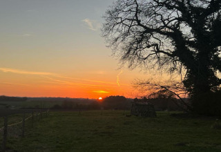 Sunset behind a large tree and the Bulrush Bell Tent on a field in the United Kingdom countryside.