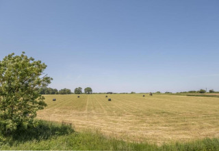 Field view with hay bales and a tree under a clear blue sky near Bulrush Bell Tent, United Kingdom.