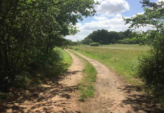 A dirt path winds through a lush green field near Bulrush Bell Tent under a blue sky in the UK.