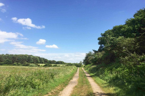 Country track with grassy fields and woods beneath a blue sky near Bulrush Bell Tent in the United Kingdom.