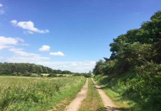 Country track with grassy fields and woods beneath a blue sky near Bulrush Bell Tent in the United Kingdom.