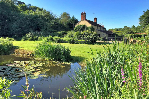 Picturesque glamping site with pond, wildflowers, green lawn and cottage at Meadow Glamping Tents, UK.
