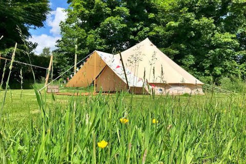 Meadow Glamping Tents teepee tent in the UK, surrounded by lush green grass and trees on a sunny day.