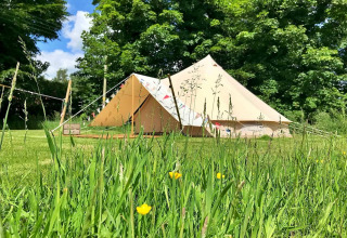 Meadow Glamping Tents teepee tent in the UK, surrounded by lush green grass and trees on a sunny day.