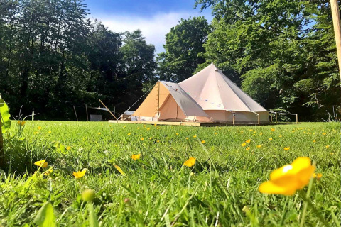 Large teepee tent on a grassy field dotted with yellow flowers, surrounded by trees and blue sky.