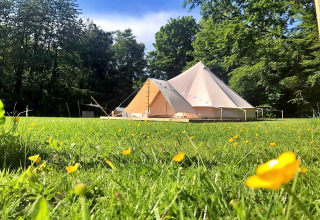 Large teepee tent on a grassy field dotted with yellow flowers, surrounded by trees and blue sky.