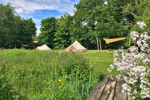 Photo of Meadow Glamping Tents in the UK, showing tents, green grass, flowers, and trees under blue sky.