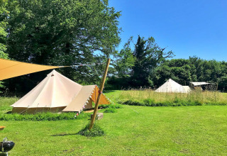 Meadow Glamping Tents in the UK, showing spacious teepee tents and lush green grass under blue skies.