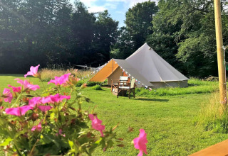 Bell tent at Meadow Glamping Tents, UK, on a grassy field with pink flowers and wooden chairs outside.