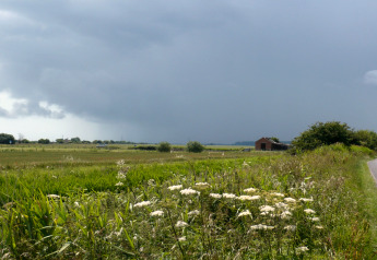 View across countryside at Tore Petty cabin in the UK, with wildflowers, open fields, and looming clouds.