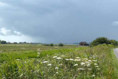 Vista sulla campagna dalla baita Tore Petty nel Regno Unito, con fiori selvatici e nuvole scure.