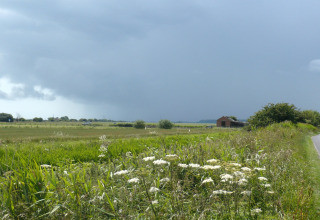 Vista sulla campagna dalla baita Tore Petty nel Regno Unito, con fiori selvatici e nuvole scure.