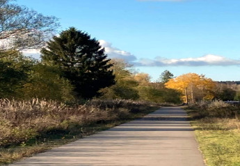 Ein asphaltierter Weg bei einem Chalet, umgeben von Bäumen in Herbstfarben unter blauem Himmel.
