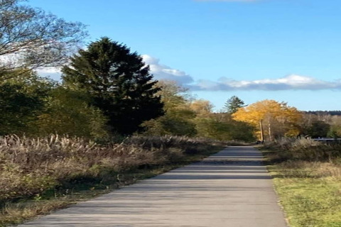 Een geasfalteerd pad bij een chalet, omgeven door bomen met herfstkleuren en een heldere blauwe lucht.