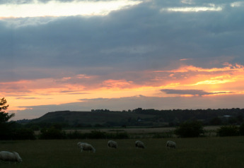 Evening photo of sheep grazing near a cabin named 'Tore Petty' in the UK, set against a sunset sky.