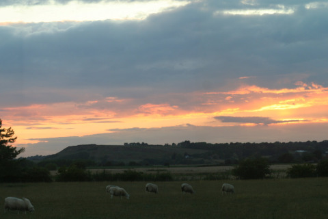 Foto serale con pecore al pascolo vicino alla baita 'Tore Petty' nel Regno Unito al tramonto.