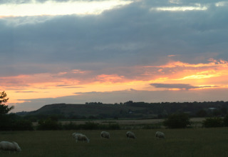 Foto serale con pecore al pascolo vicino alla baita 'Tore Petty' nel Regno Unito al tramonto.