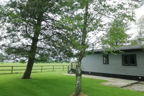 Vista su prato verde, alberi e una baita grigia chiamata 'Tore Petty' nella campagna britannica.