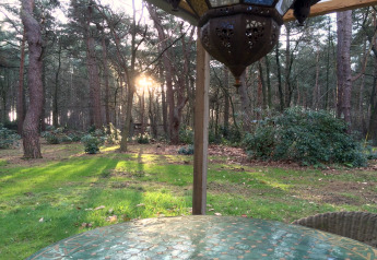Zicht vanuit chalet 'Het Beerenbos' in België, zonlicht door bomen en gras in het bosrijk gebied.