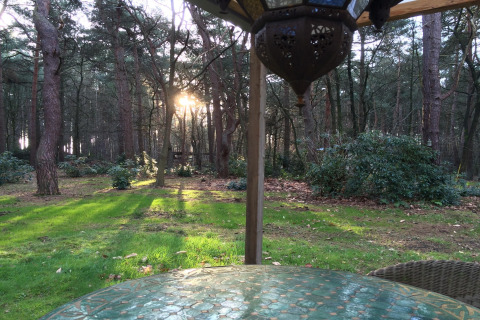 Vista dal chalet 'Het Beerenbos' in Belgio, sole che filtra tra gli alberi della foresta e prato verde.