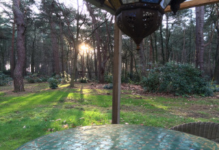 Vista dal chalet 'Het Beerenbos' in Belgio, sole che filtra tra gli alberi della foresta e prato verde.