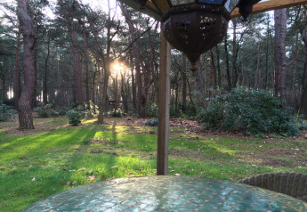 Vista desde el chalet 'Het Beerenbos' en Bélgica, con luz solar entre árboles y vegetación forestal.