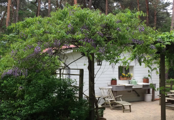 Chalet Het Beerenbos en Bélgica rodeado de vegetación, glicinas floreciendo y terraza tranquila.