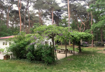 Chalet ‘Het Beerenbos’ in België, omgeven door weelderig groen bos en buitenzitjes met picknicktafels.