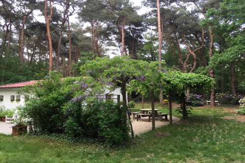 Chalet 'Het Beerenbos' in Belgio immerso nei boschi con un’area patio e tavoli da picnic all’aperto.