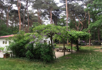 Chalet llamado 'Het Beerenbos' en Bélgica, rodeado de bosque y mesas de picnic en exterior ajardinado.