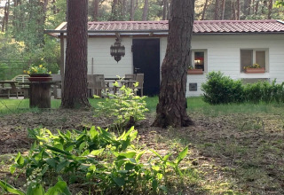 Caratteristico chalet Het Beerenbos in Belgio, immerso tra alberi, fiori e arredi da giardino in legno.