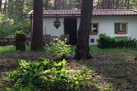 Caratteristico chalet Het Beerenbos in Belgio, immerso tra alberi, fiori e arredi da giardino in legno.