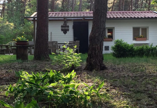 Caratteristico chalet Het Beerenbos in Belgio, immerso tra alberi, fiori e arredi da giardino in legno.