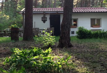 Acogedor chalet Het Beerenbos en Bélgica rodeado de árboles, flores y muebles de jardín en el exterior.