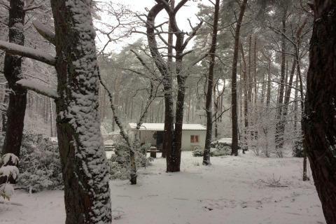 Chalet Het Beerenbos in Belgio, immerso tra alberi innevati in una tranquilla atmosfera invernale.